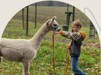 Erstgespräch tiergestützte Förderung