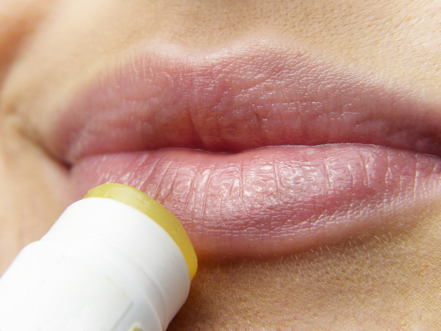 Alpaka Keratin Lippenbalsam