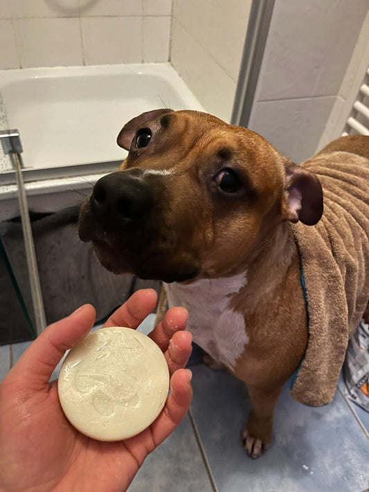 Alpaka Keratin Seife für Hunde