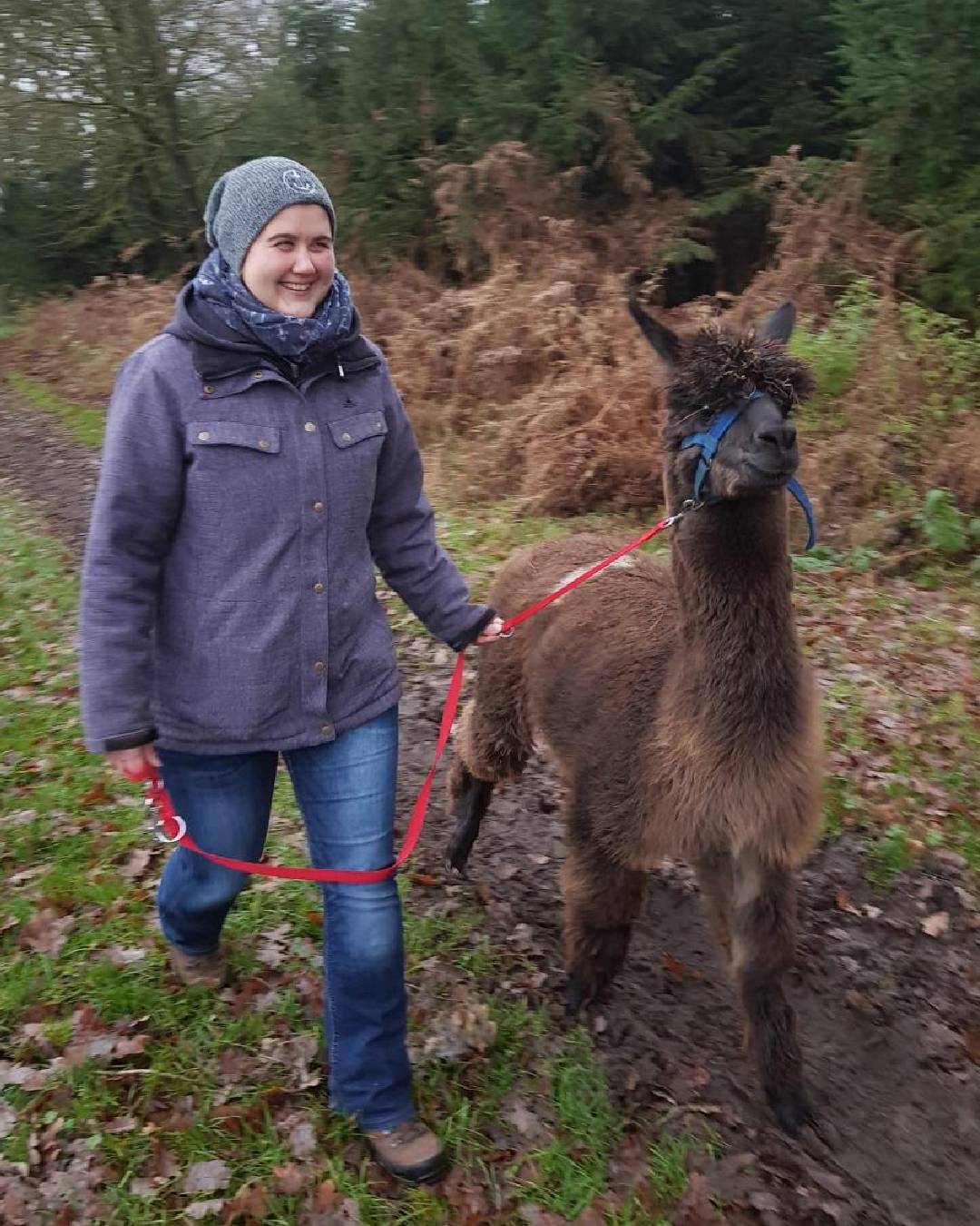Wanderung in die Natur ab 10 Jahren